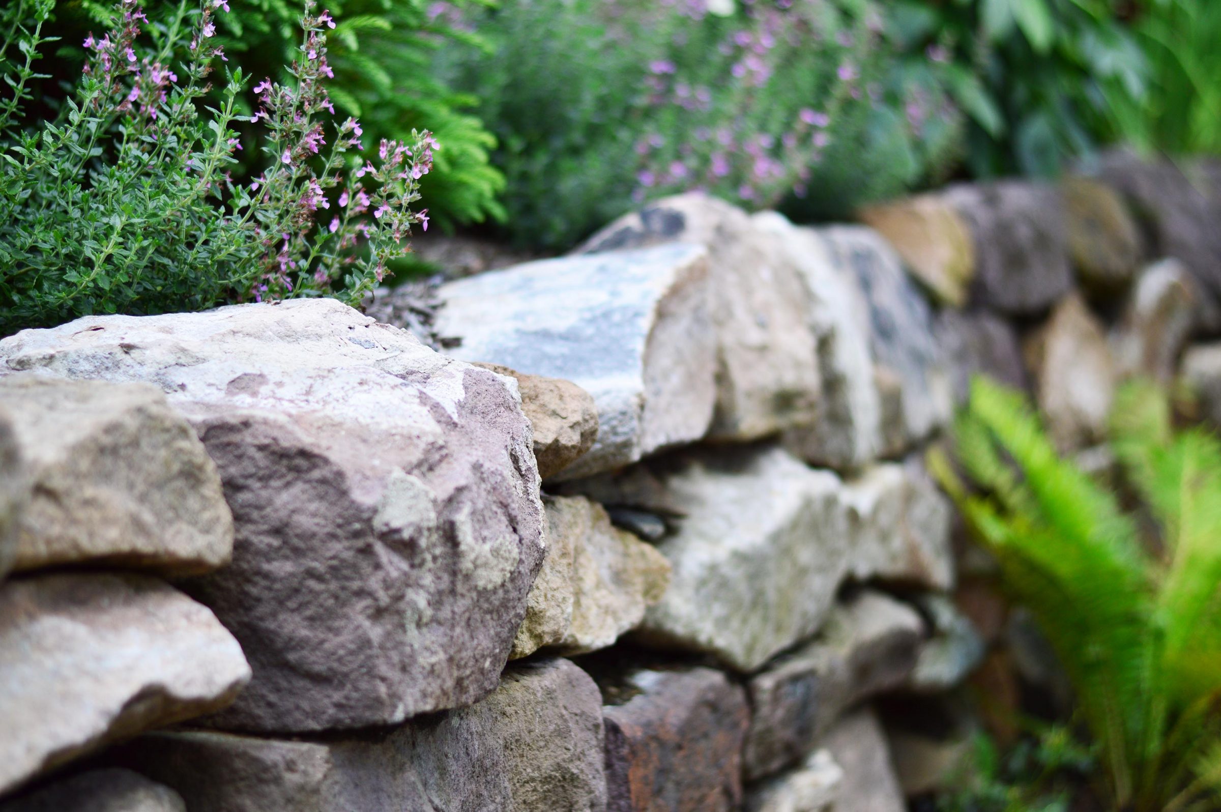 Close-up of stone garden wall with green plants.