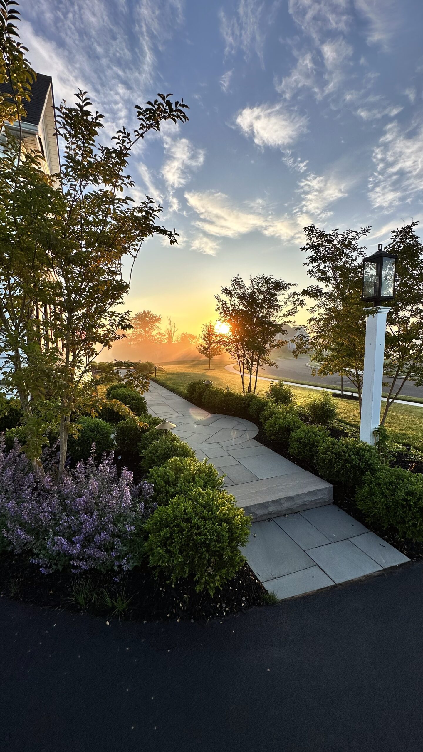 Sunrise over garden pathway with vibrant flowers.