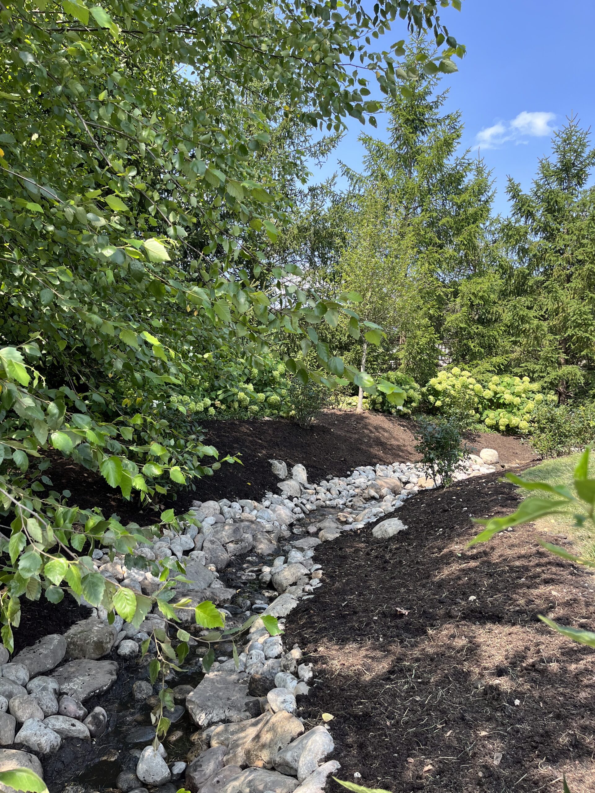 Lush garden with rocks and trees under blue sky.