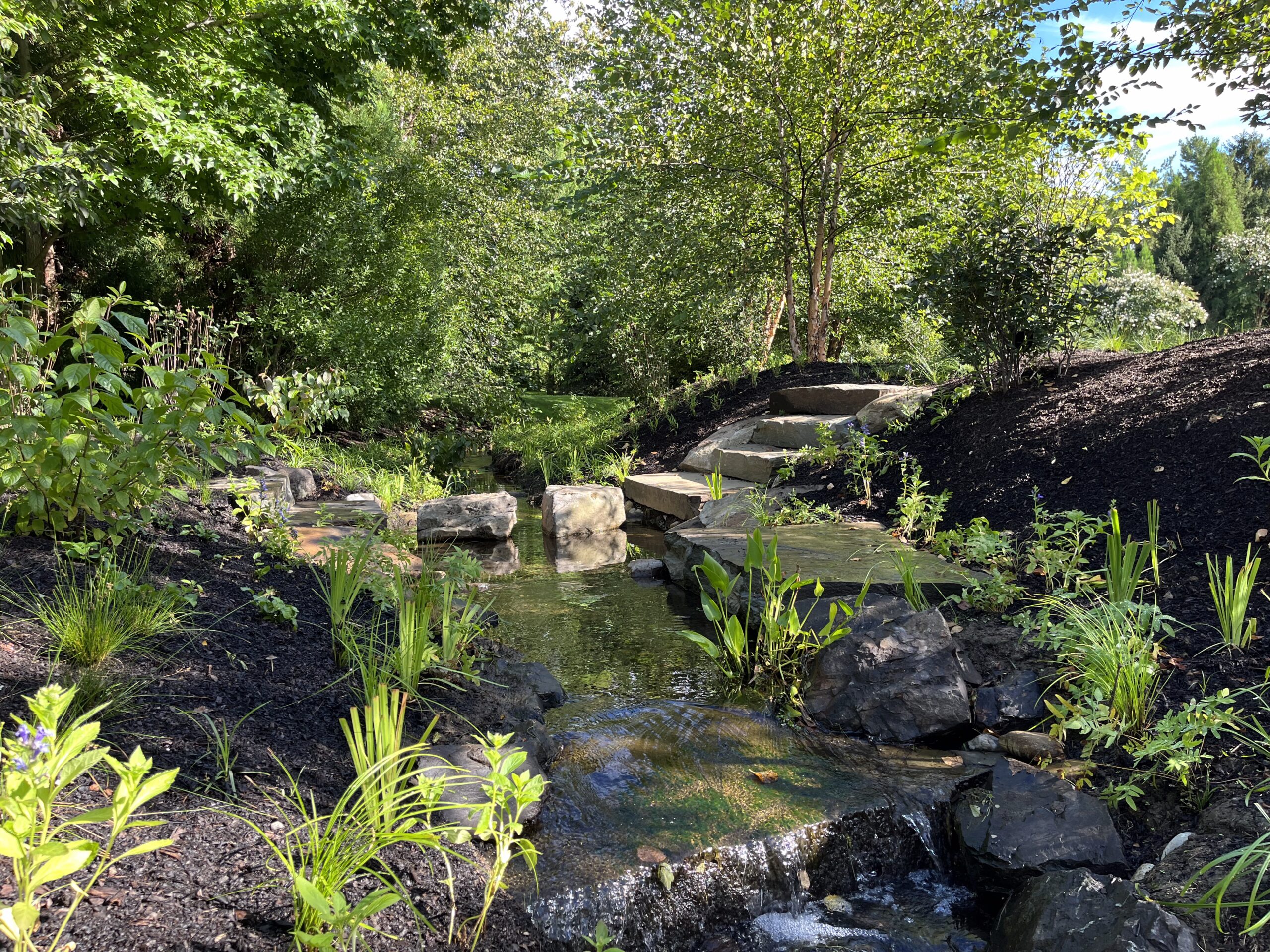 Tranquil garden stream with lush greenery and sunlight.