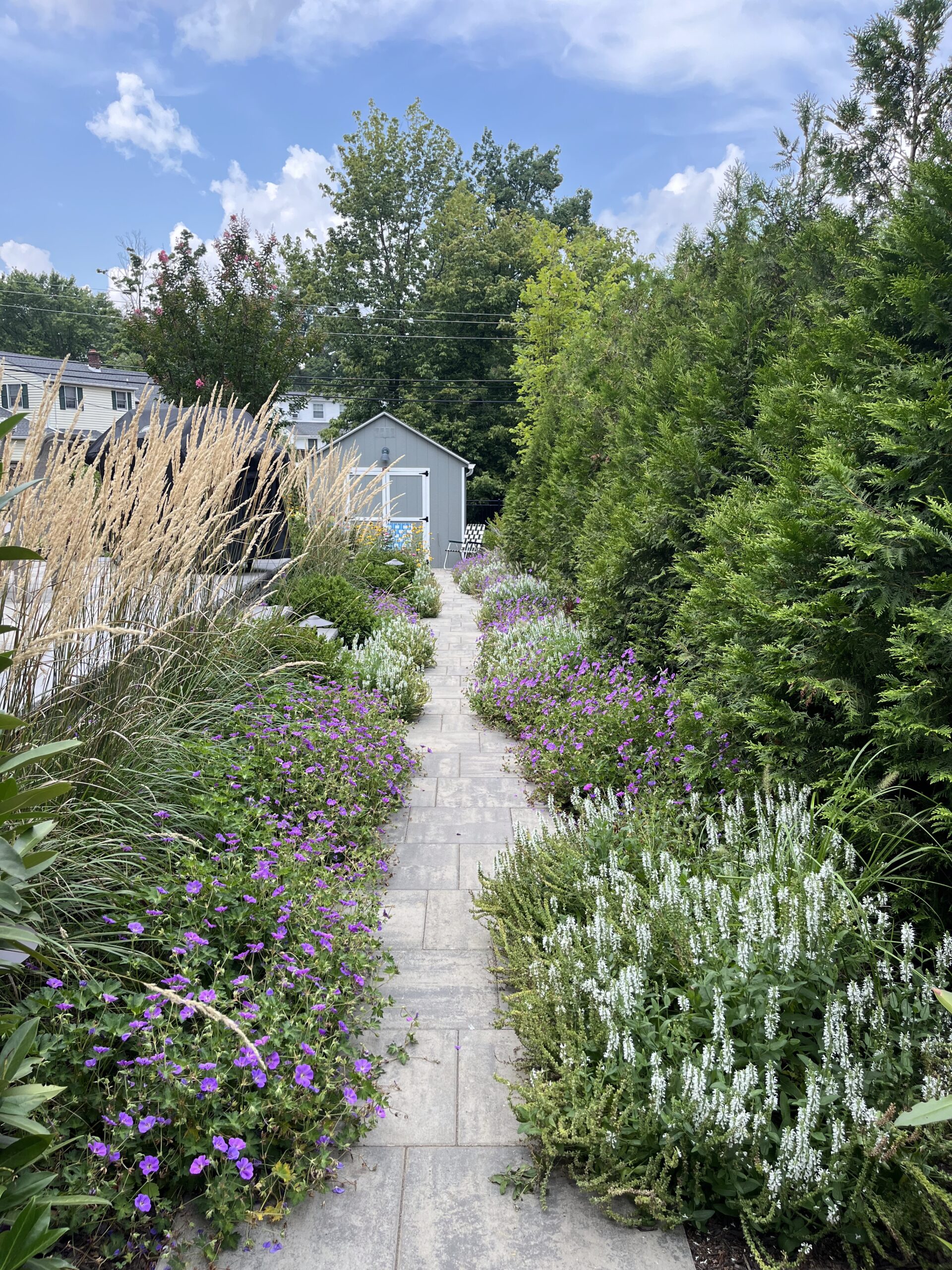 Garden path with flowering plants and trees