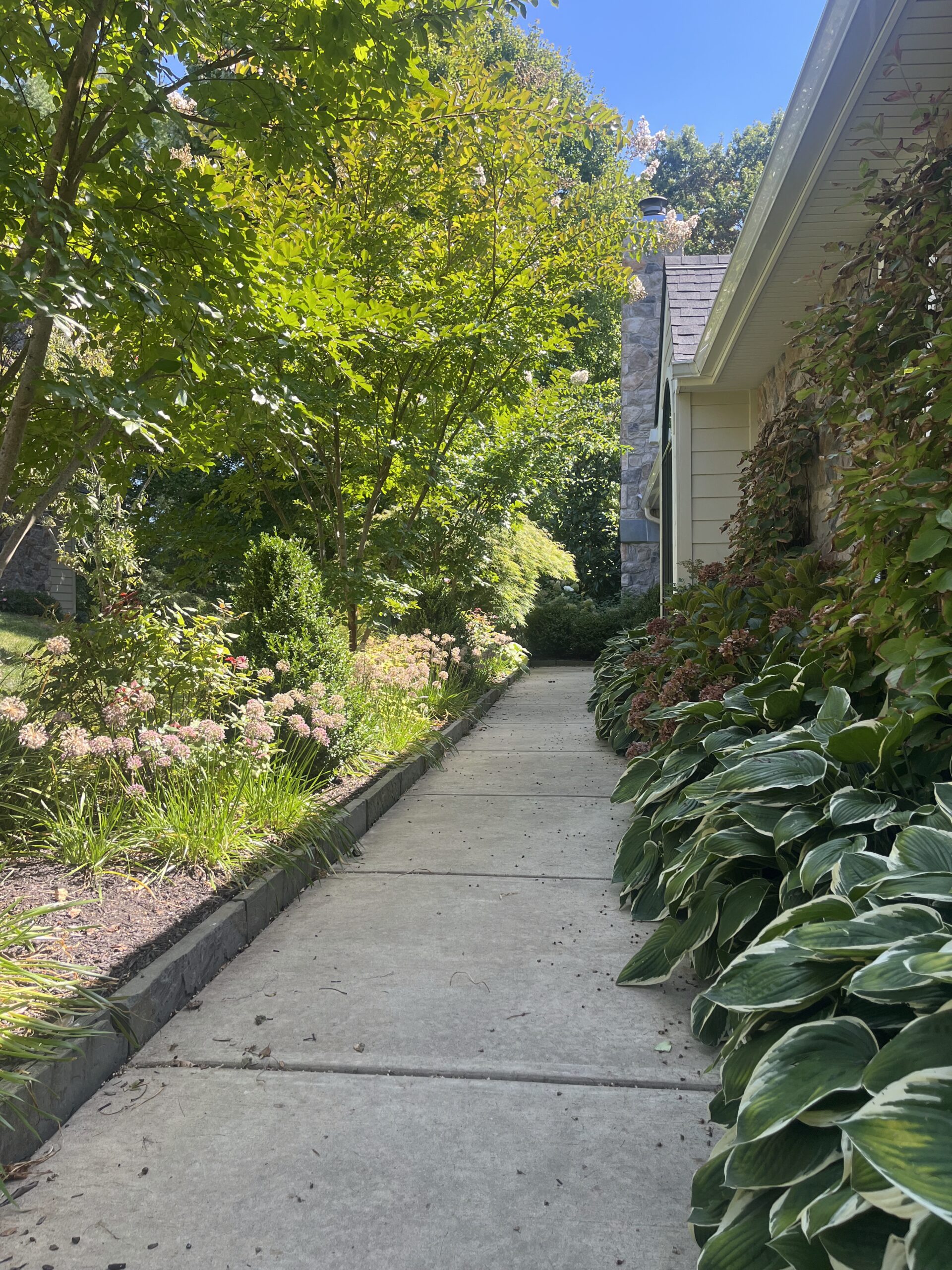 Garden path with lush greenery and flowers