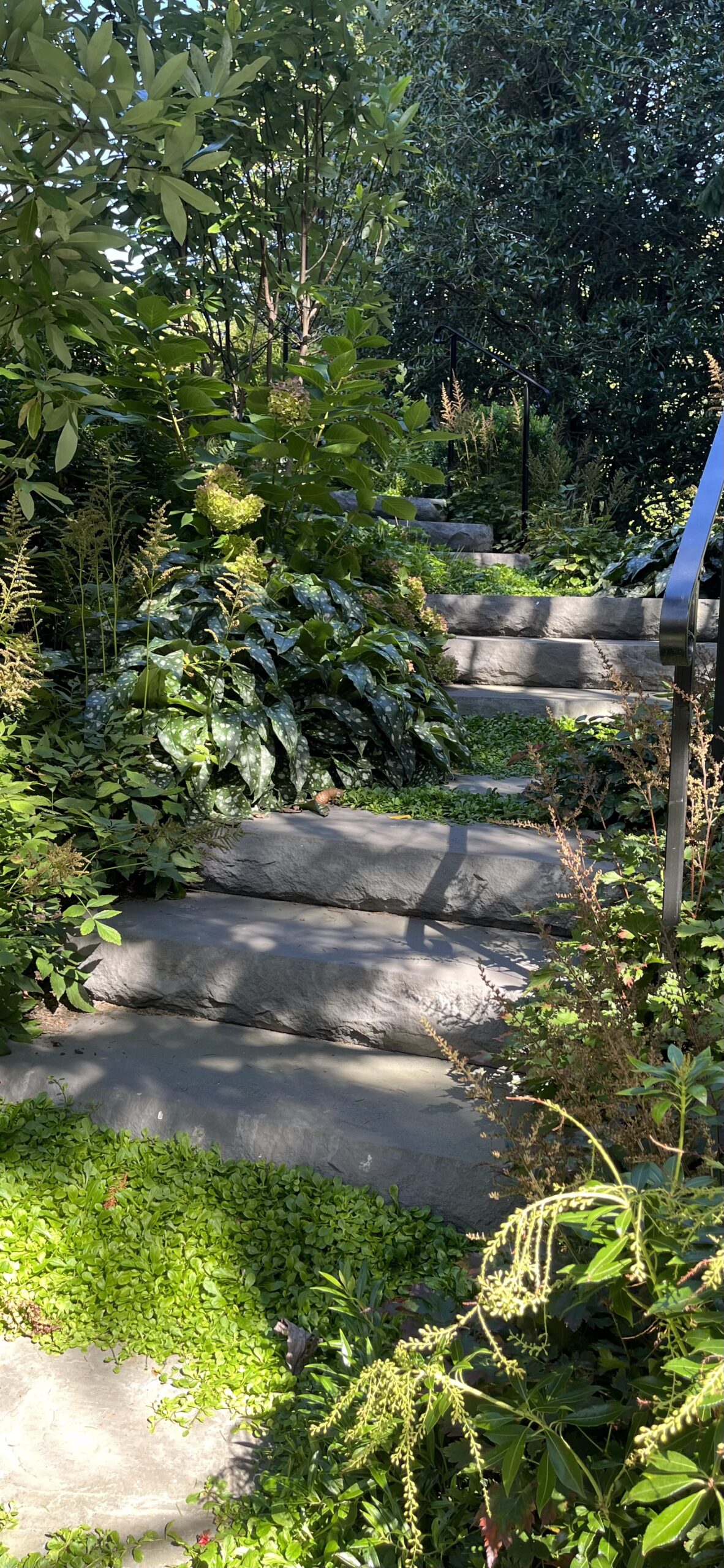Stone garden steps surrounded by lush greenery.
