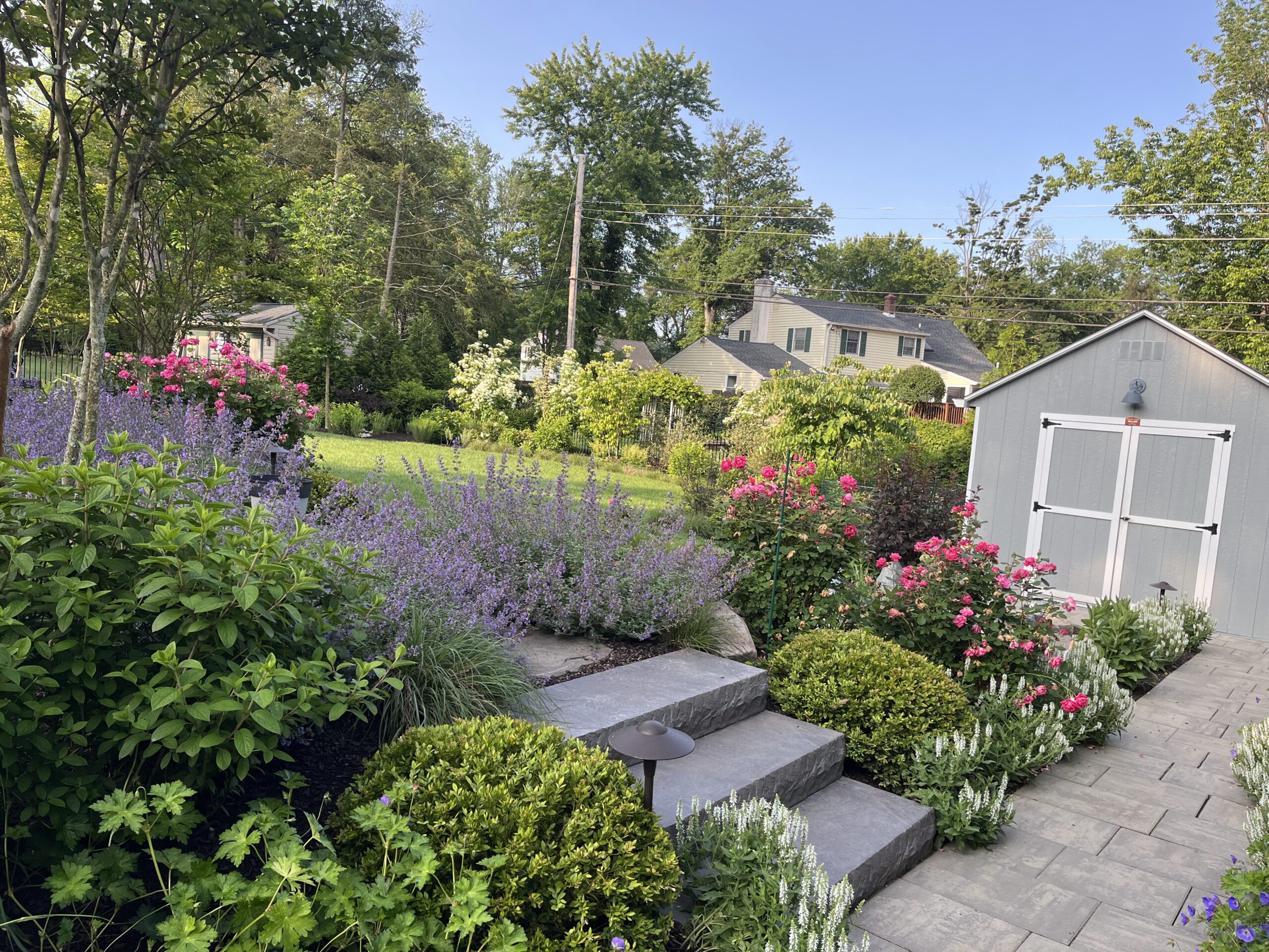 Lush garden with blooming flowers and a shed.