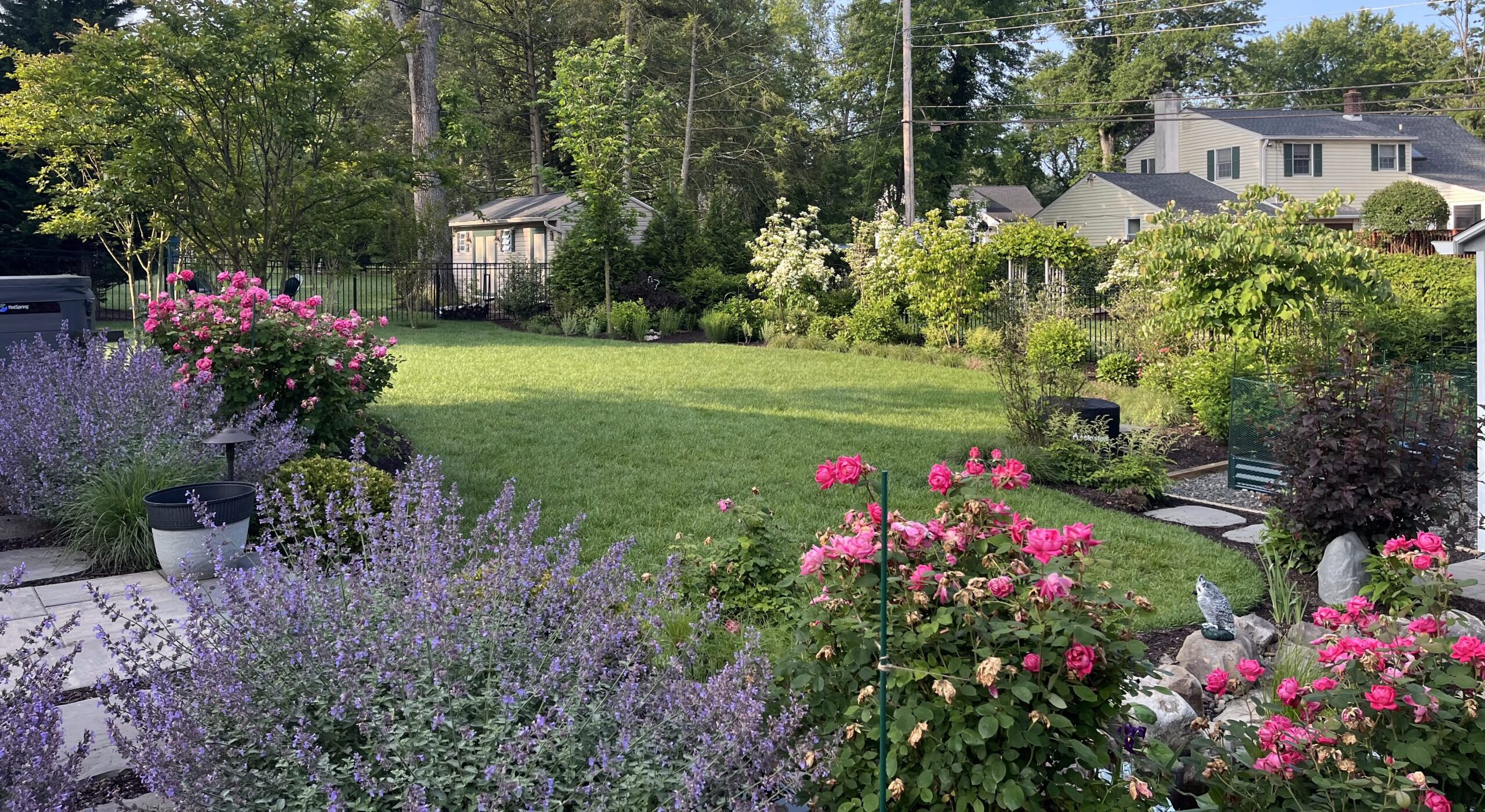 Lush backyard garden with blooming flowers and trees.