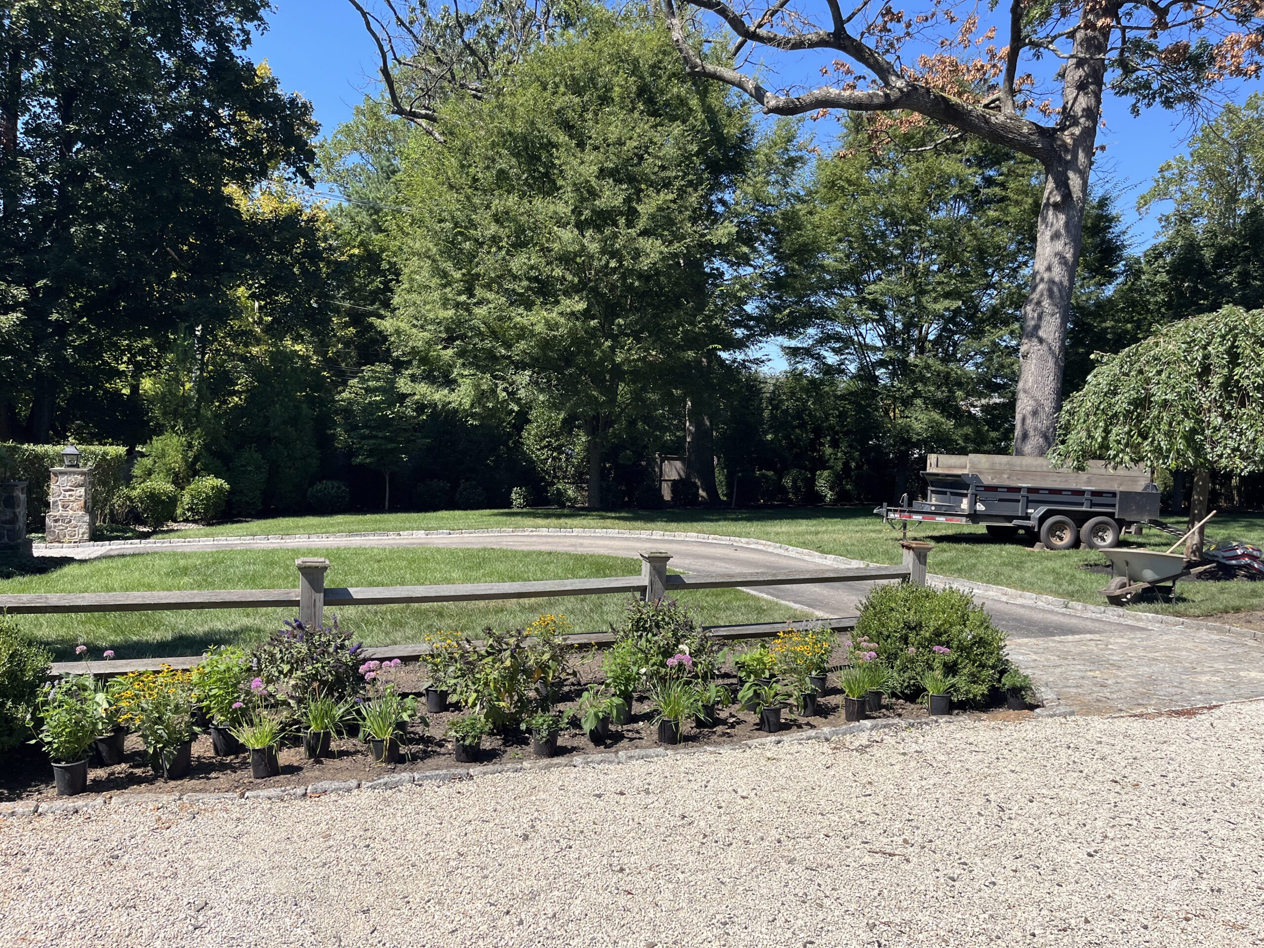 Garden with plants, trailer, and wheelbarrow in yard.