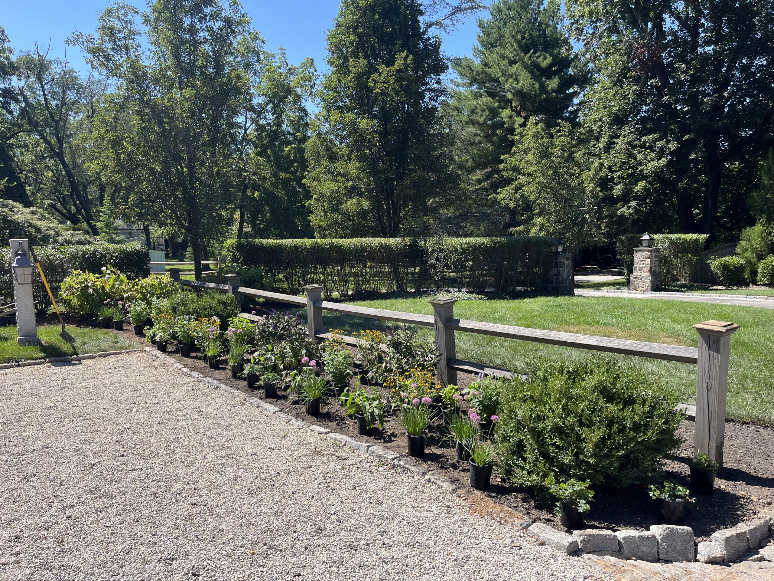 Garden with potted plants ready for planting