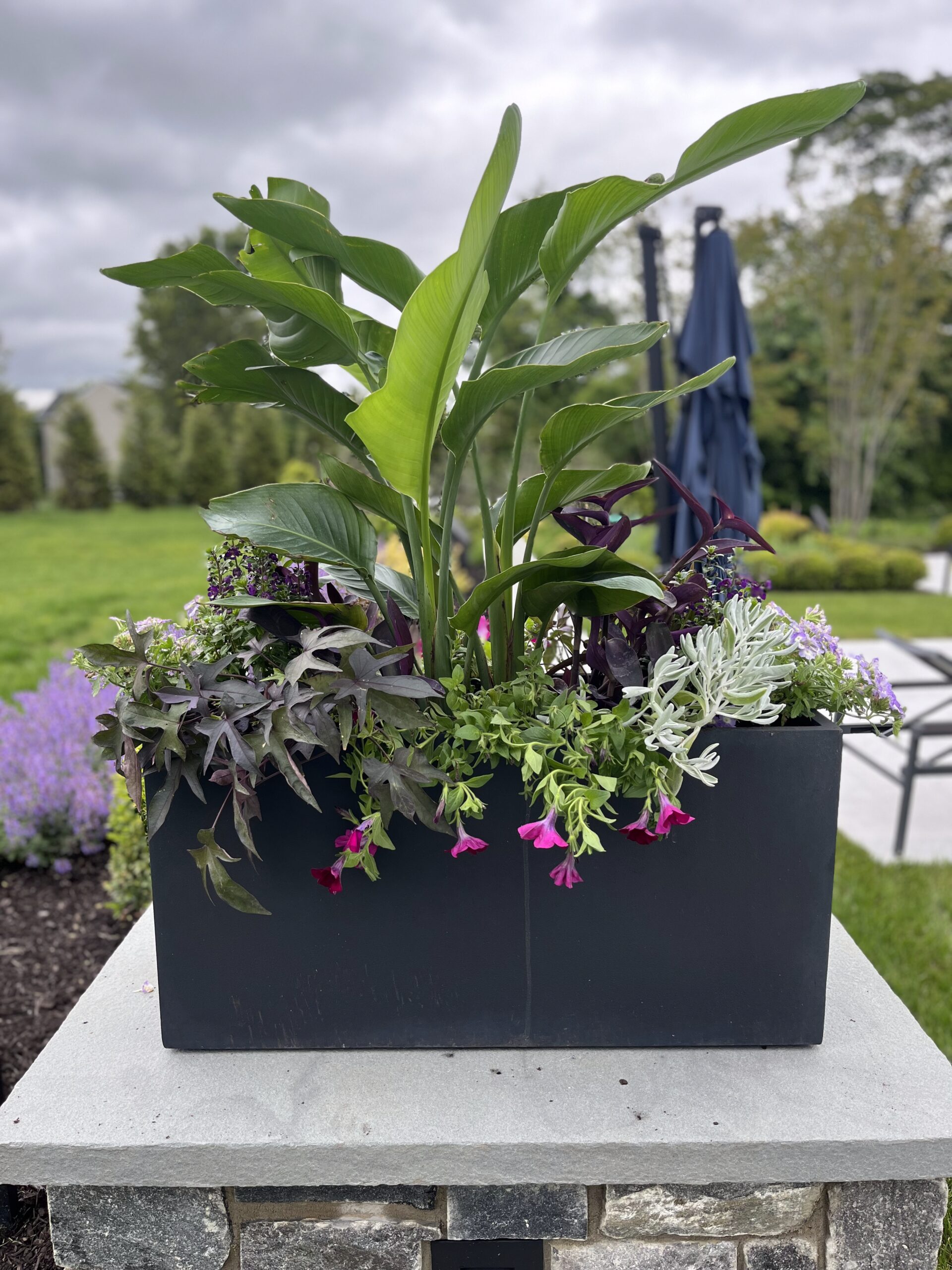 Green planter with various colorful flowers outdoors.