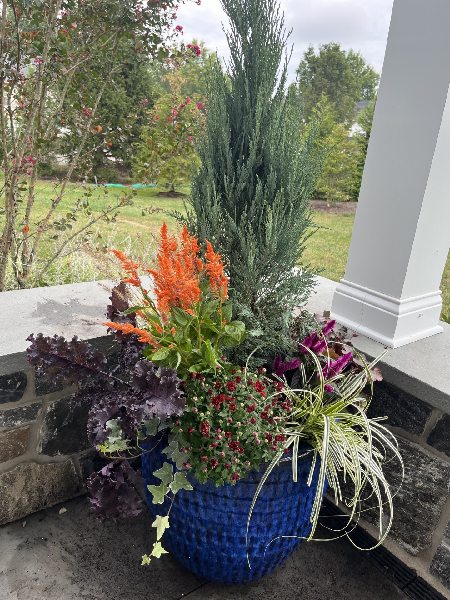 Colorful plants in blue pot on porch.