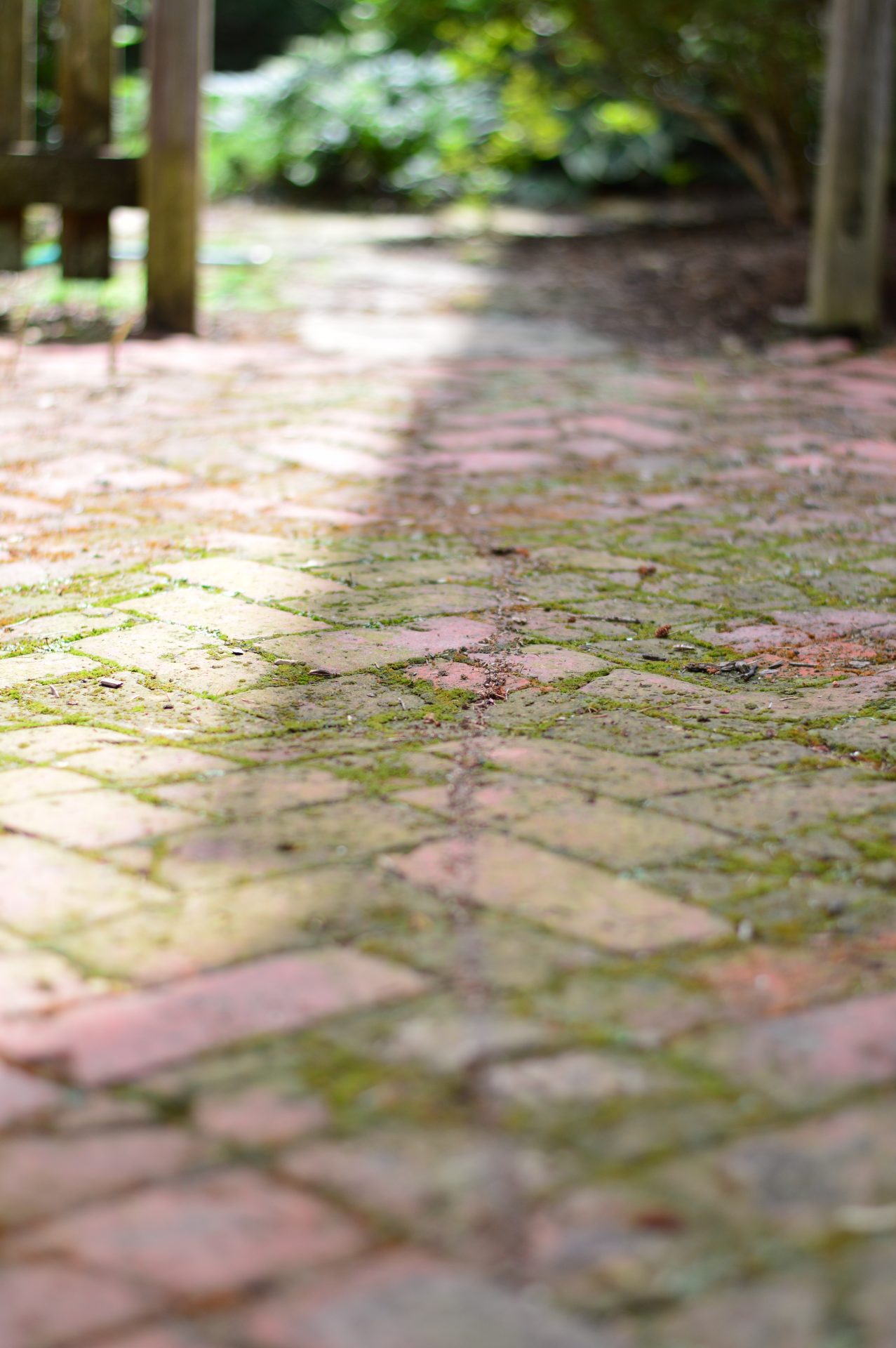 Sunlit brick path with moss and shadows