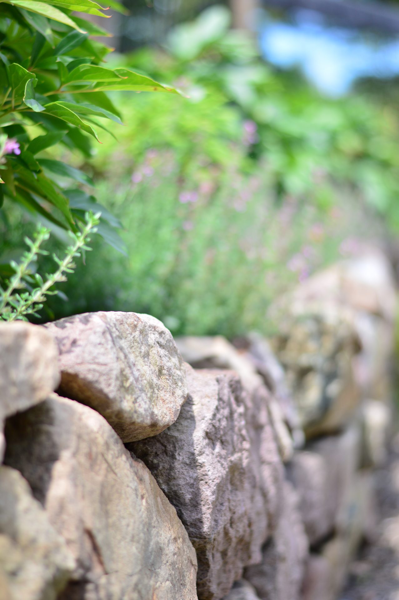 Stone wall with green foliage background