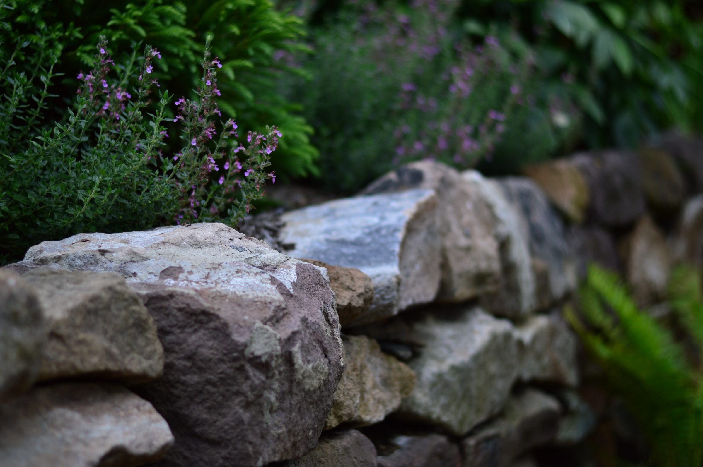 Stone wall with green plants and flowers