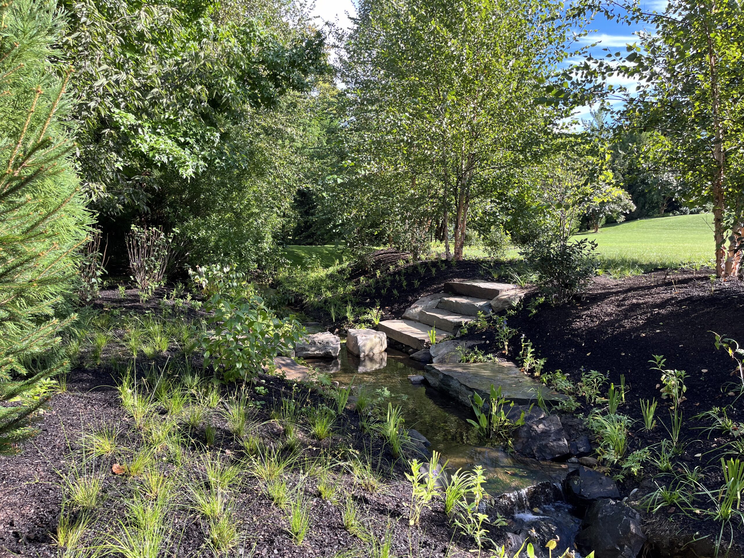 Lush garden with small stream and stone steps.
