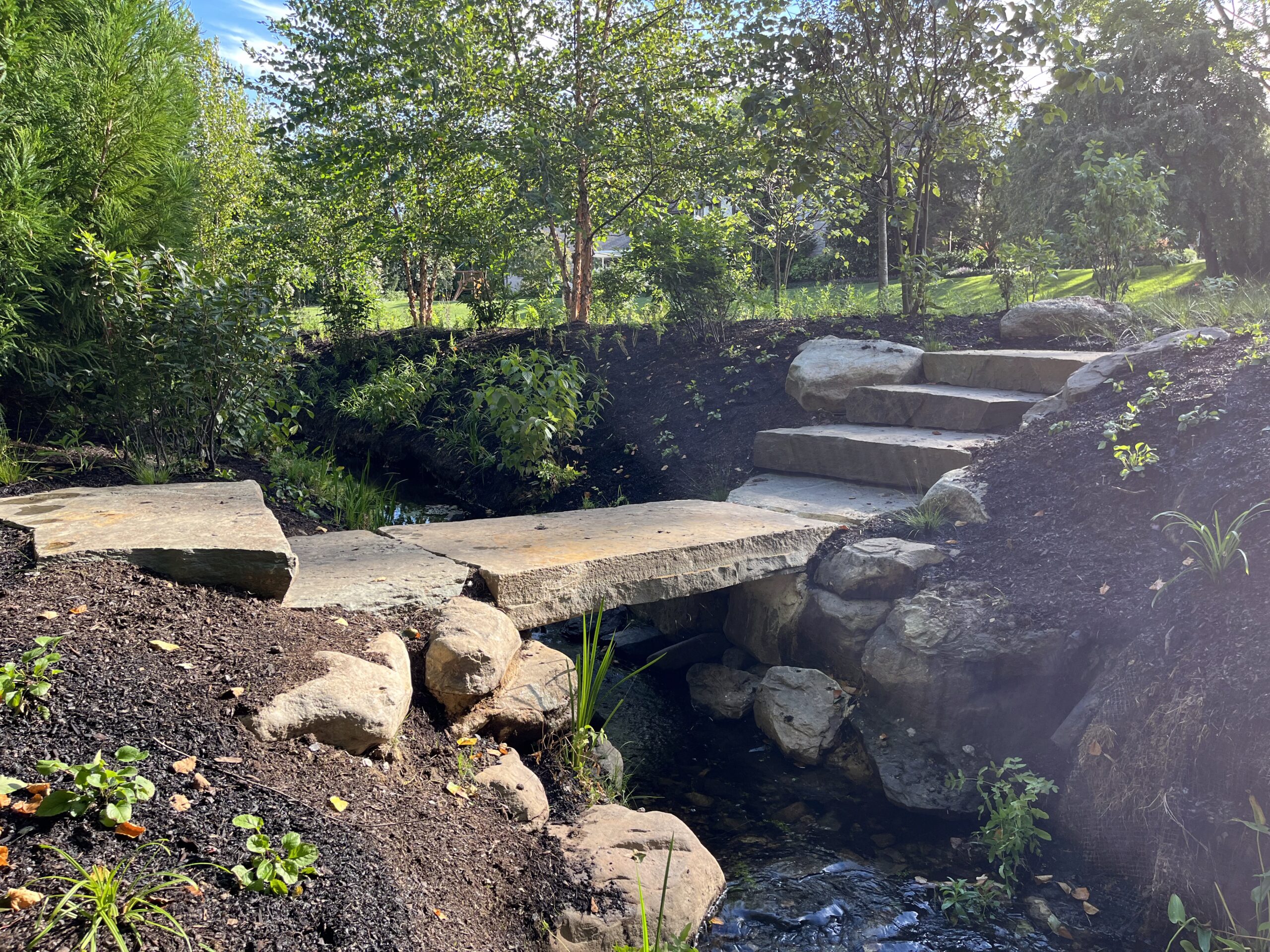 Stone steps and bridge in woodland garden