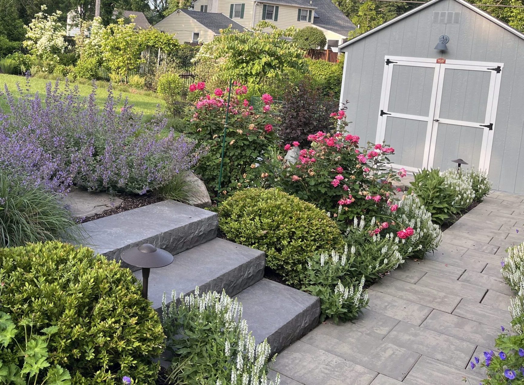 Colorful garden path with stone steps and shed.
