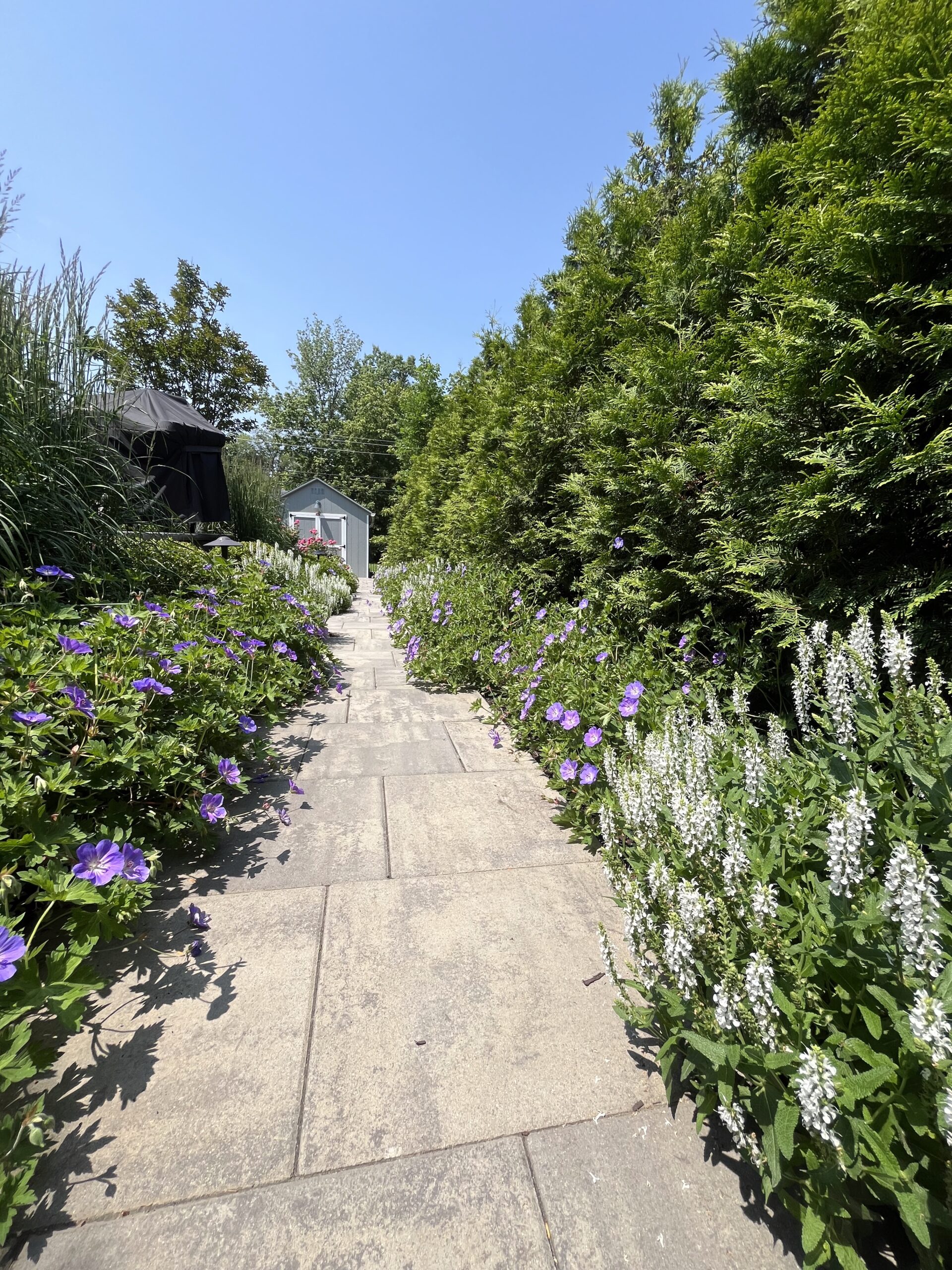 Garden path lined with colorful flowers and greenery.