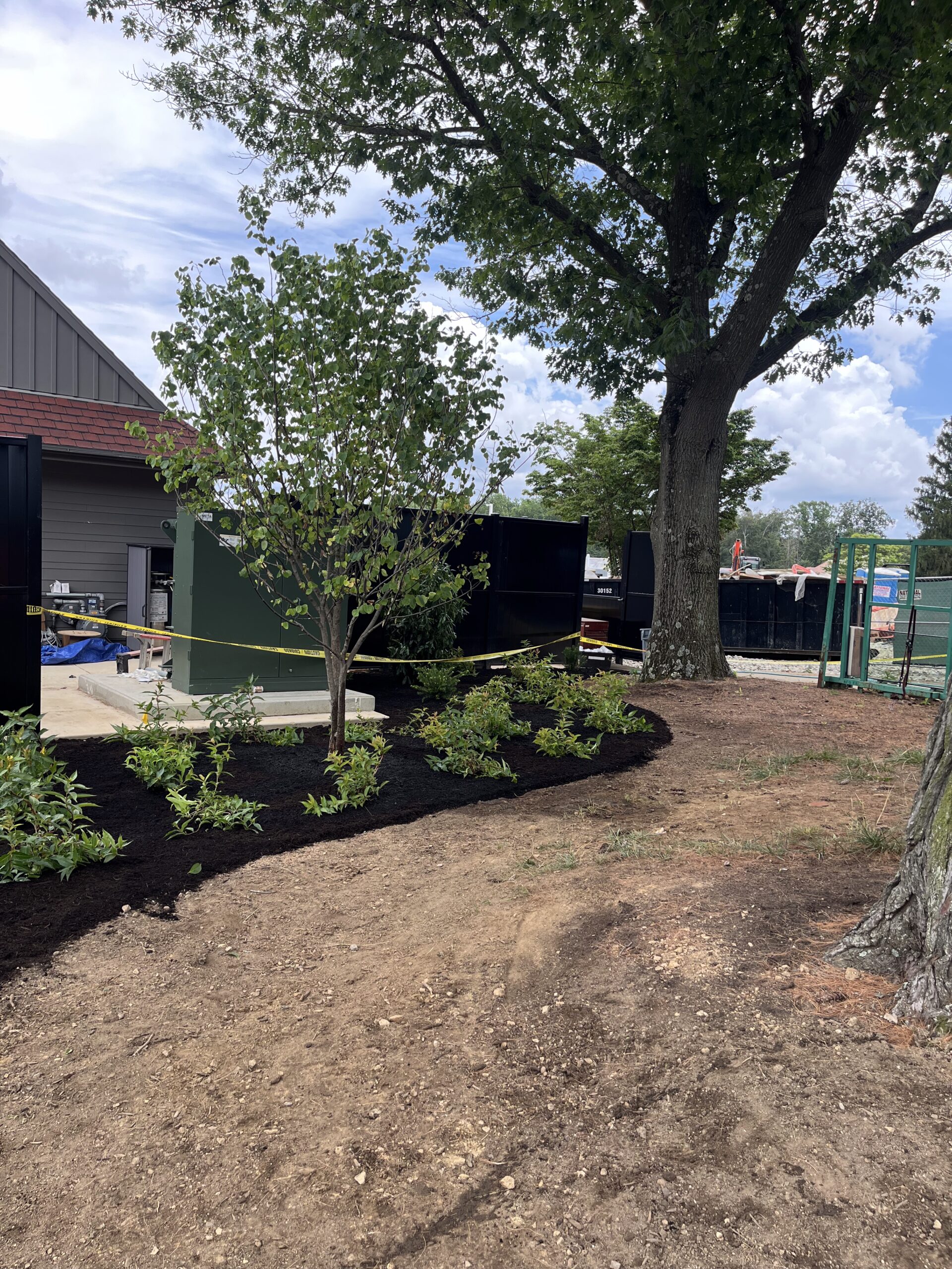 Newly planted trees and shrubs near building construction.