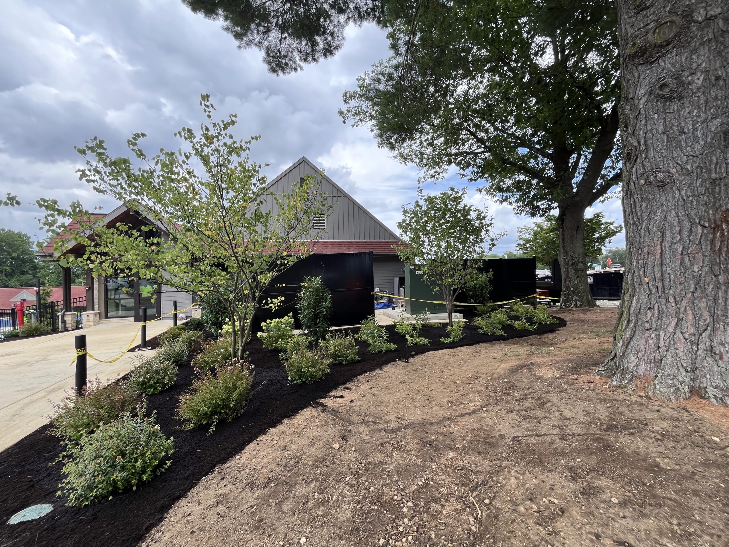 Landscaping with trees and bushes near building