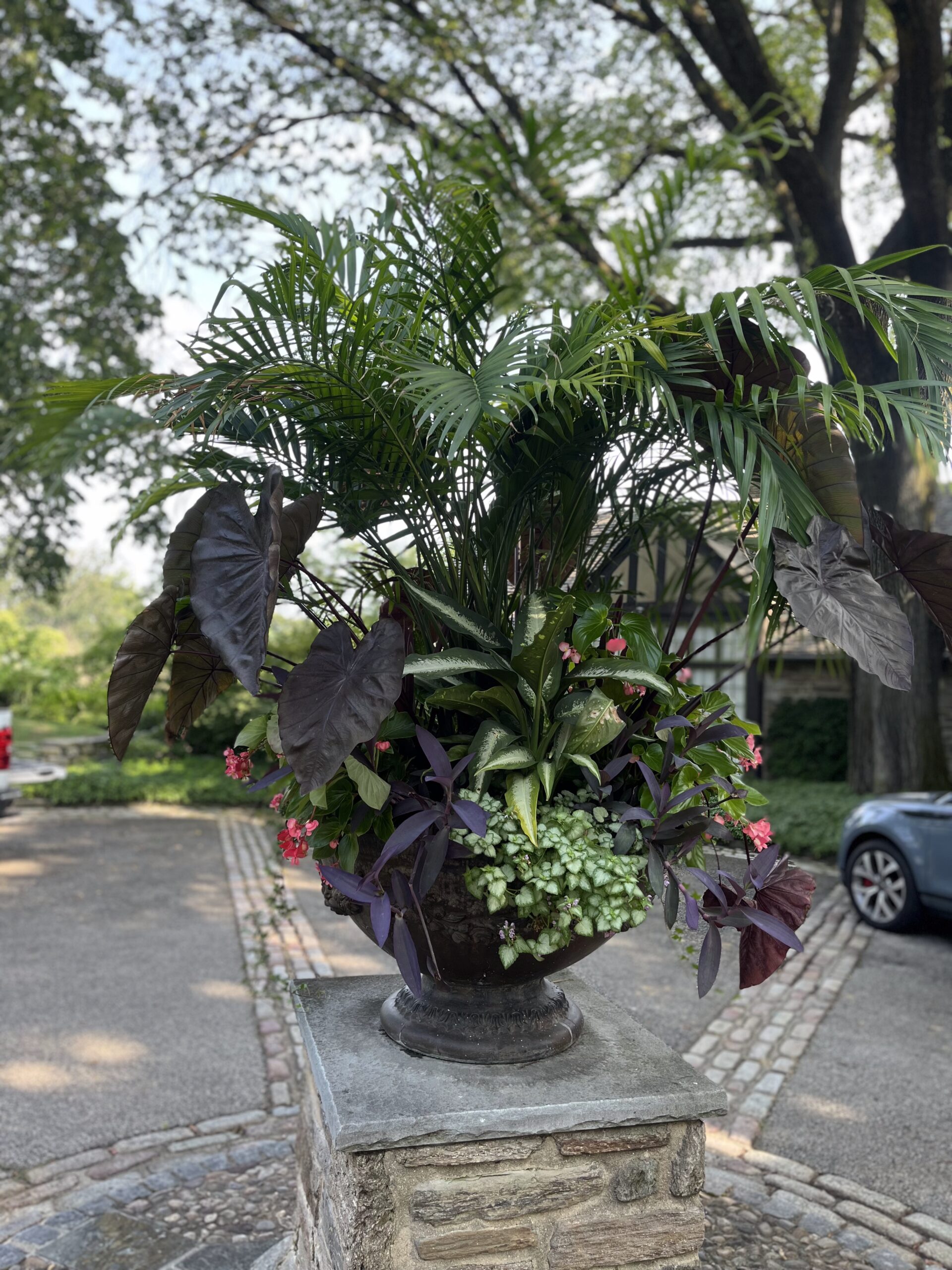 Decorative planter with tropical and flowering plants outdoors.