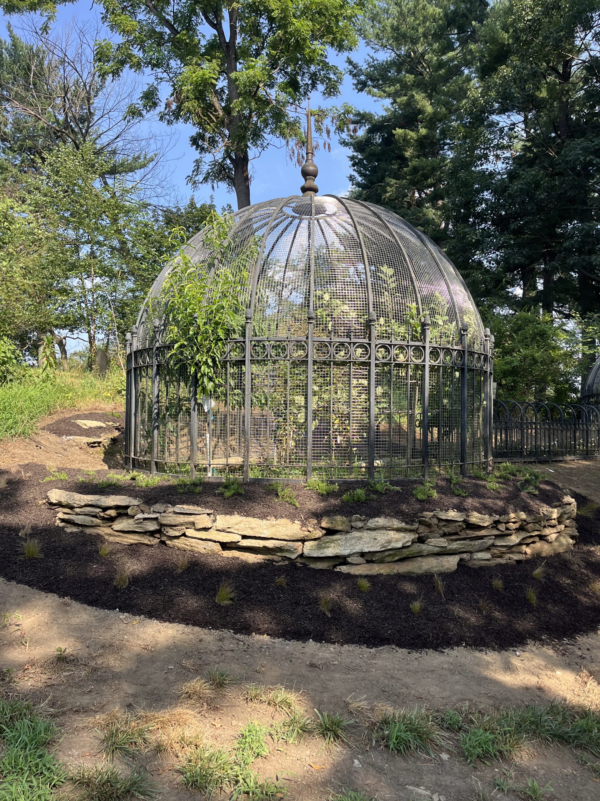 Metal gazebo surrounded by trees and plants.