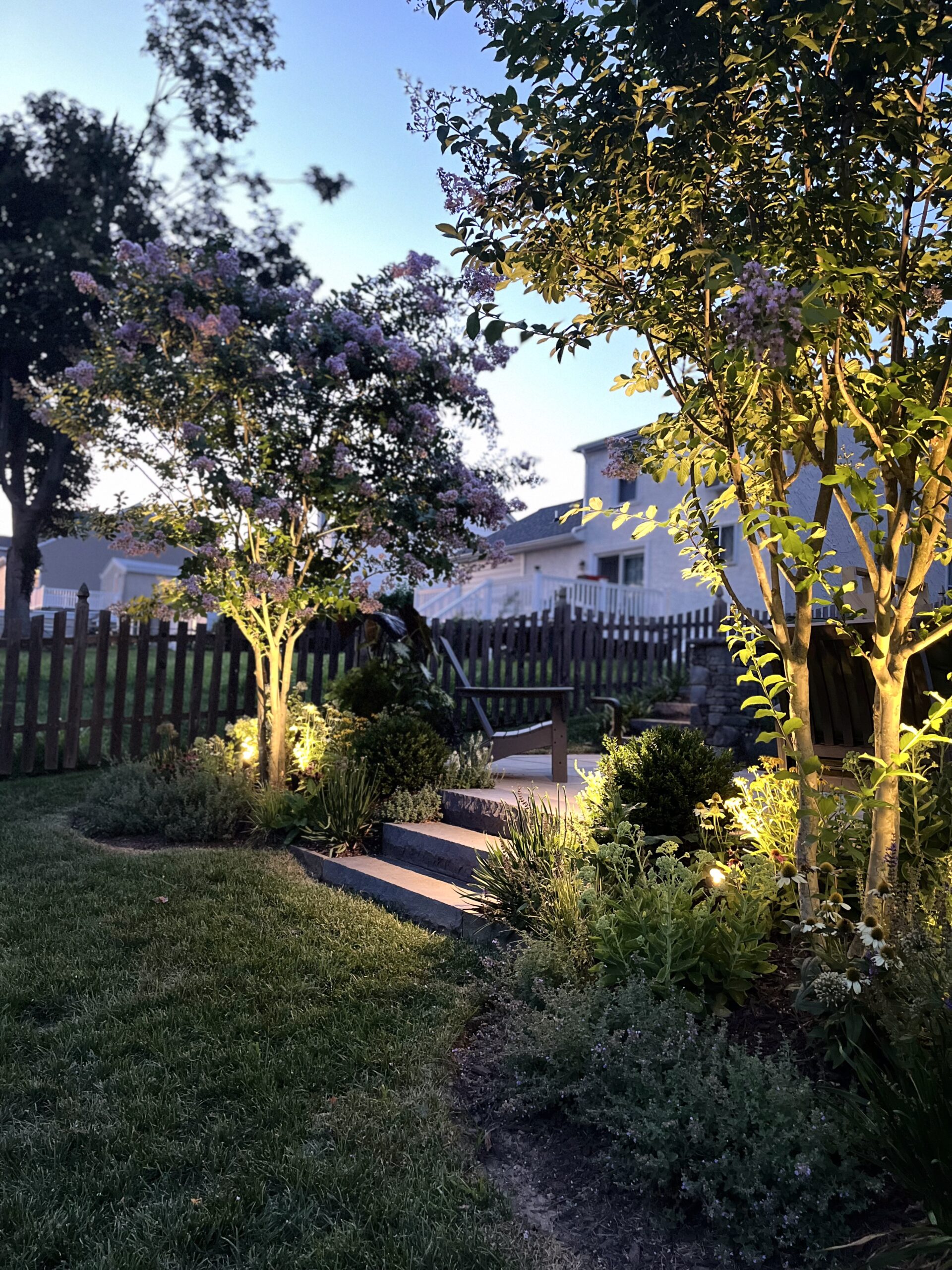 Backyard with illuminated trees and garden path.