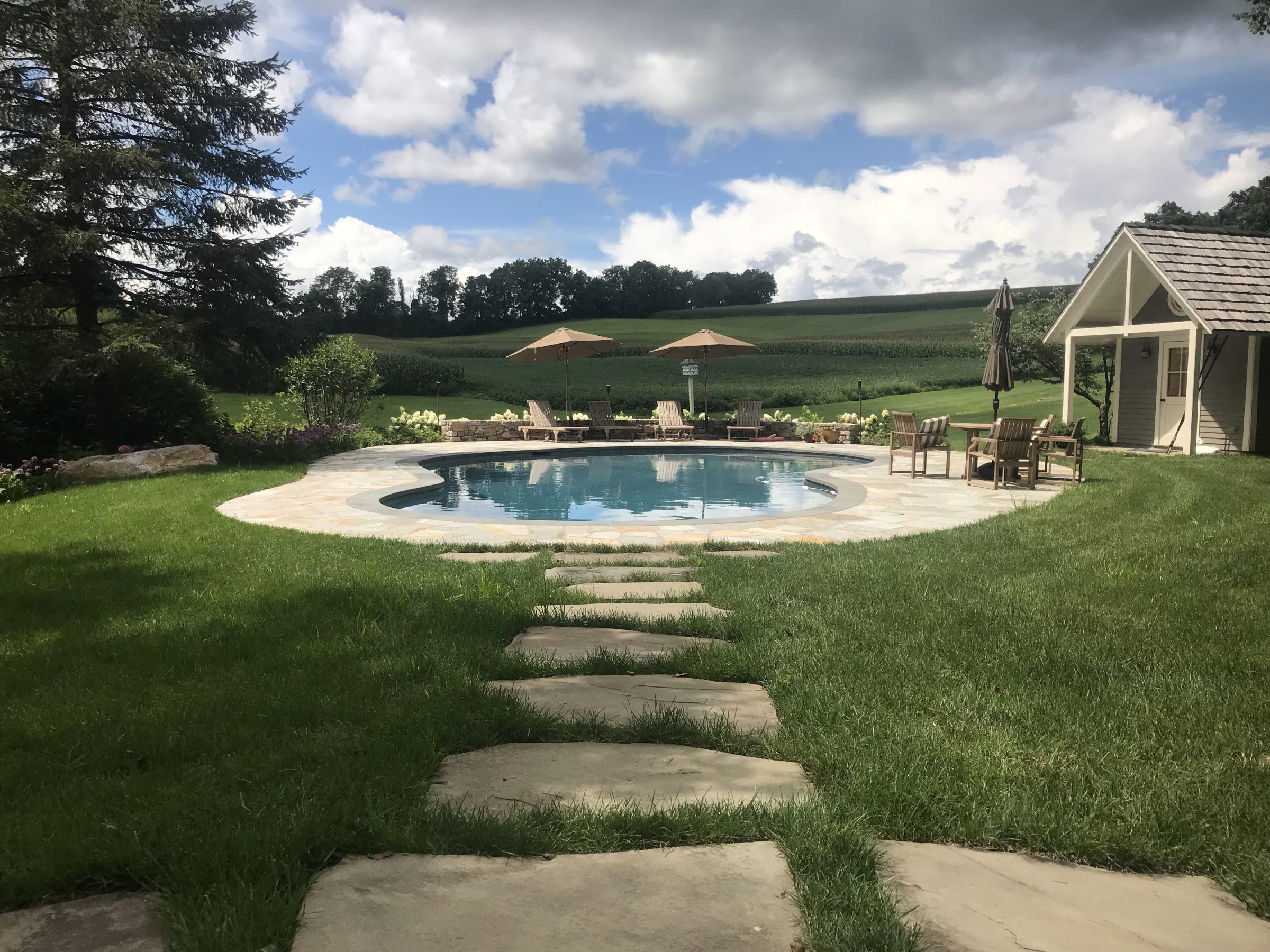 Backyard pool with seating and garden view