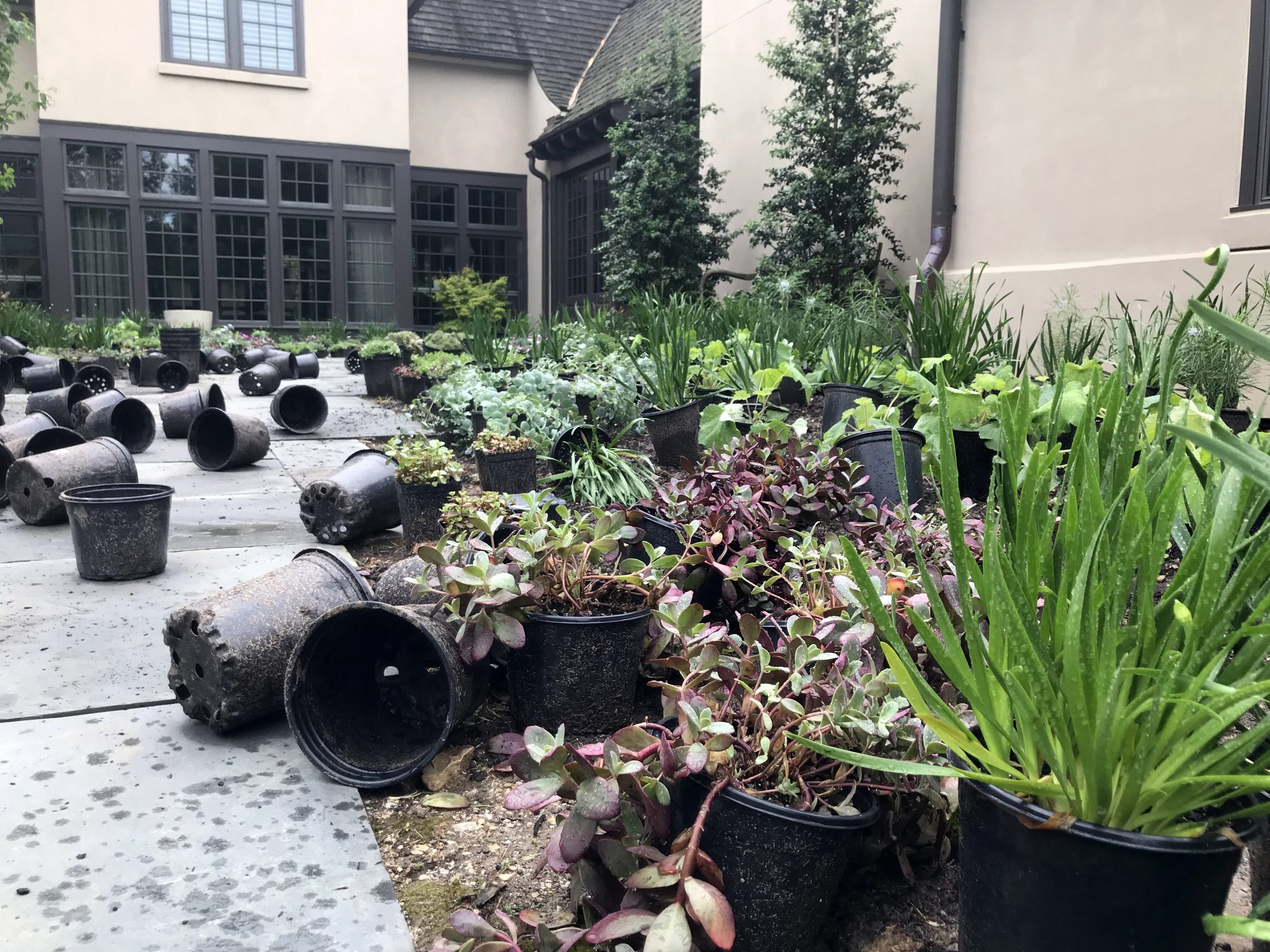 Garden with plants and scattered pots on patio.