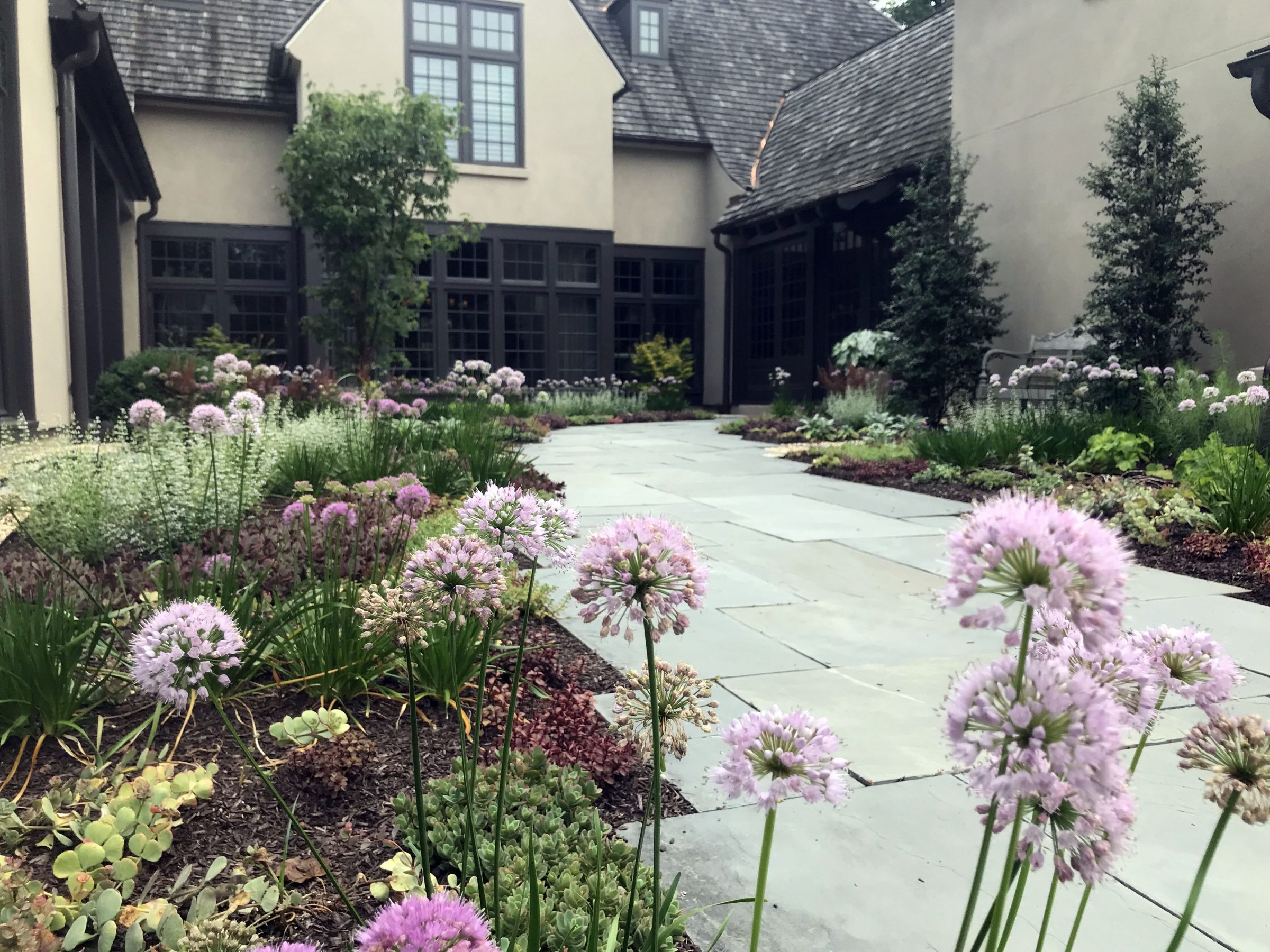 Stone patio with lush garden and purple flowers.