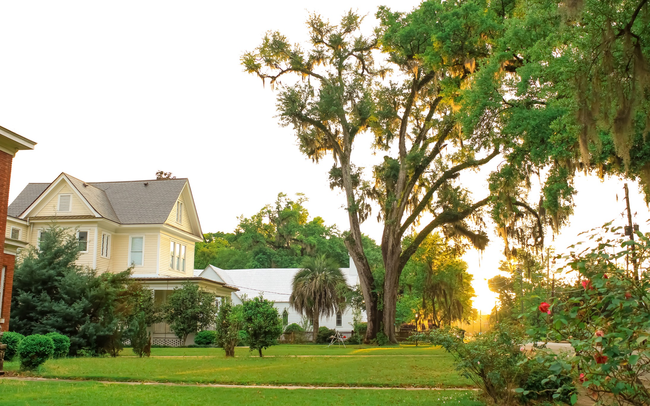 Sunset lighting on a suburban house and trees.