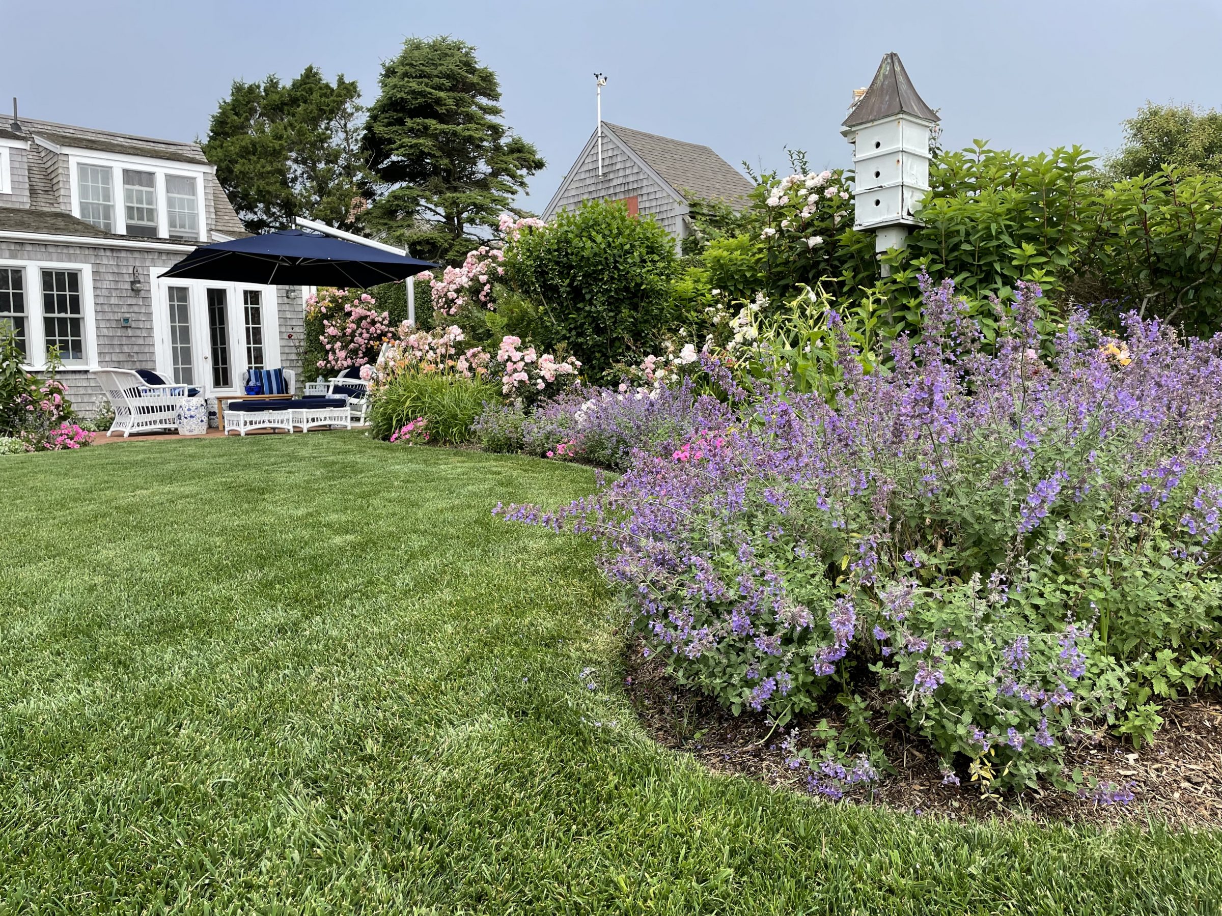 Garden with flowers and birdhouse in backyard