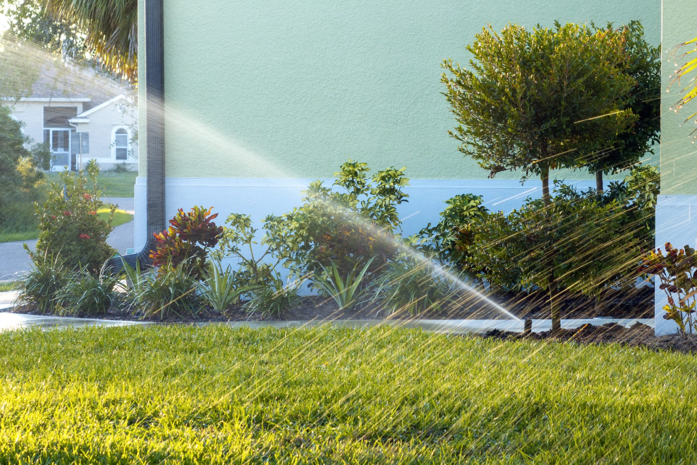 Sprinkler watering grass by house with plants.