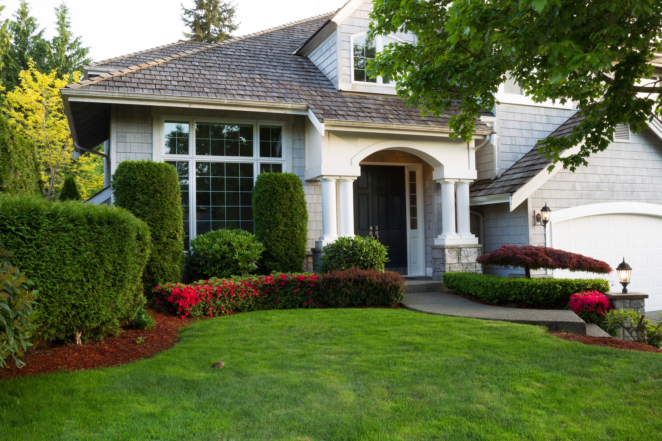 Beautiful suburban home with manicured lawn