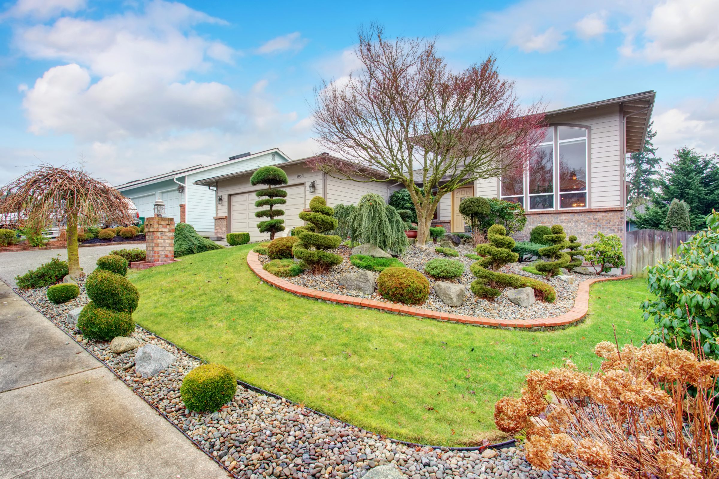 Modern house with landscaped garden and shrubs