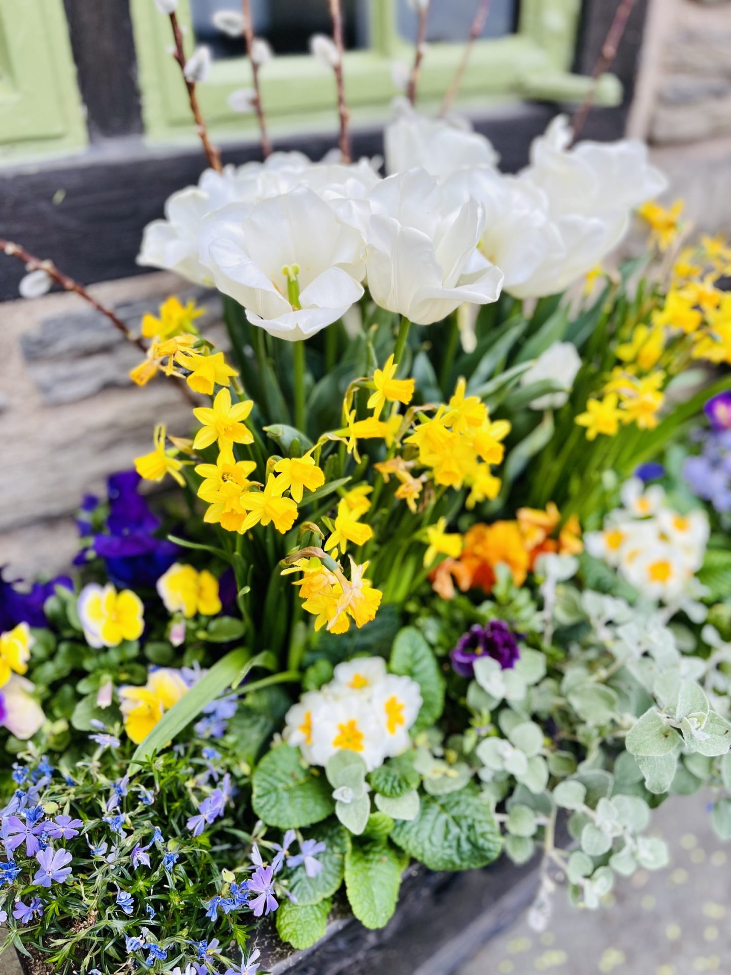 Colorful flowers blooming in a garden planter.